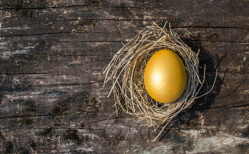 egg in nest on wood table